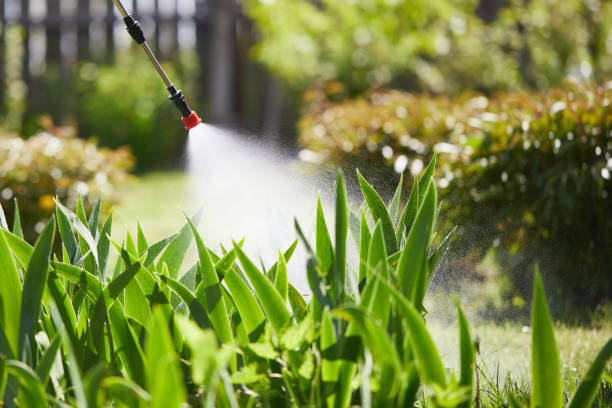 Tamper-Resistant Bait Stations for Rodents in Athens