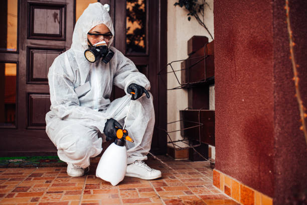 Attic and Crawl Space Rodent Treatment in Athens