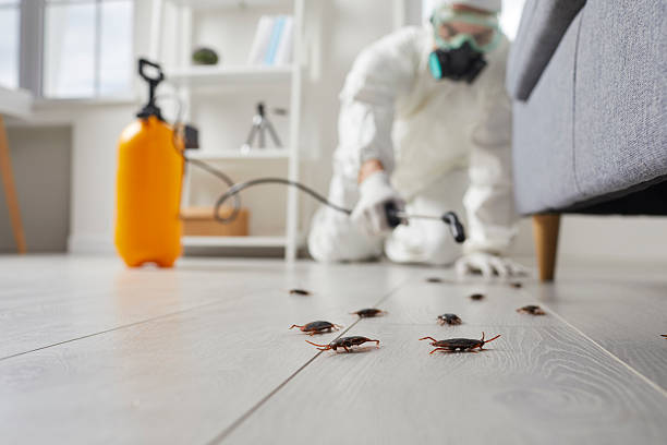 Commercial Rodent Management in Athens